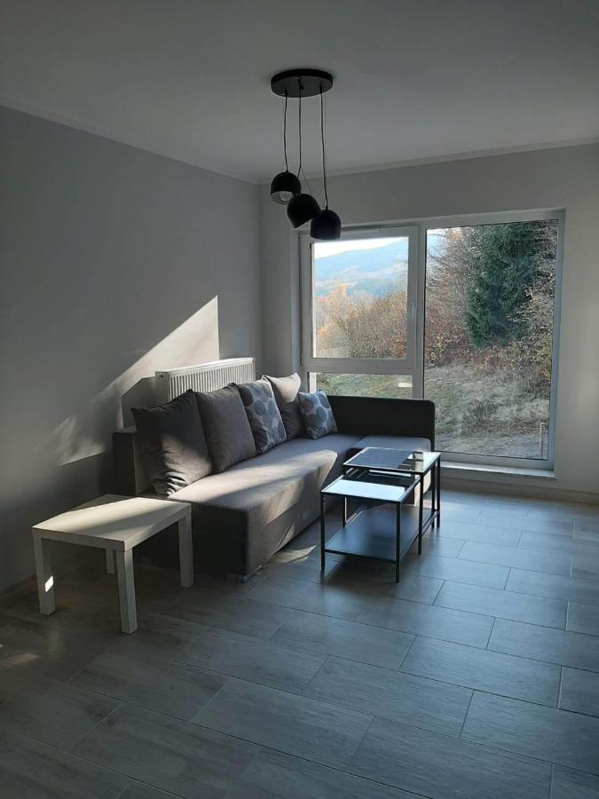 Apartament Lilu Szklarska Poręba Kültér fotó